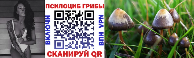 Псилоцибиновые грибы Magic Shrooms  где можно купить наркотик  Казань 